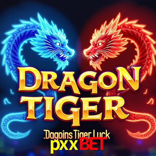 A Experiência Imersiva dos Cassinos Ao Vivo no pxxbet
